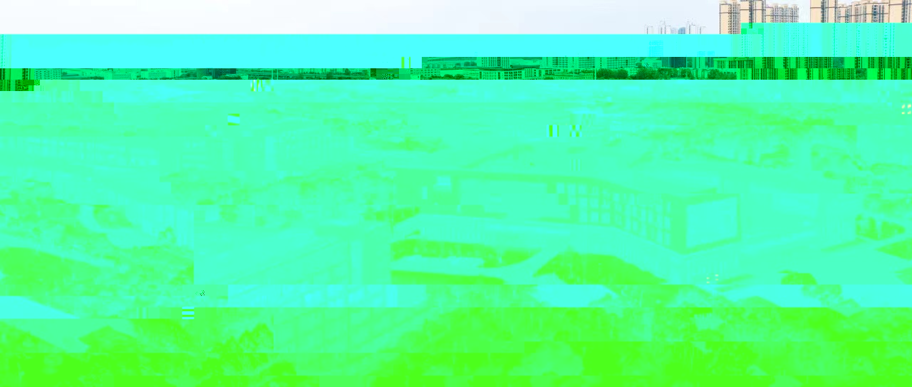 67538